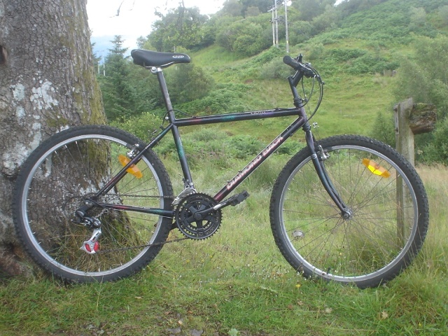 1998 diamondback outlook