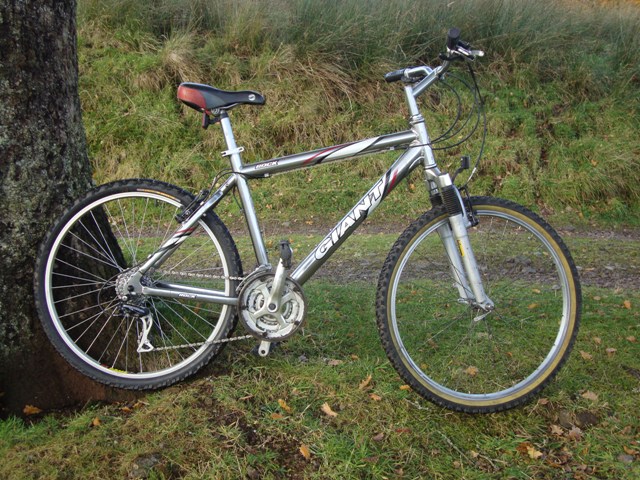giant rock bicycle