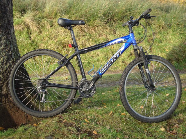 giant rock bicycle