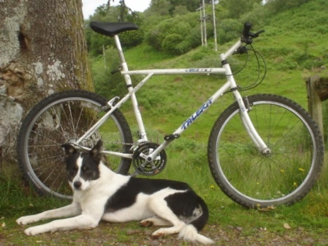 gt talera bike