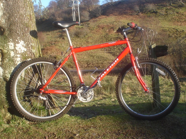 raleigh mountain bike 1990