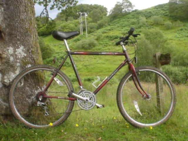 scott mens road bike