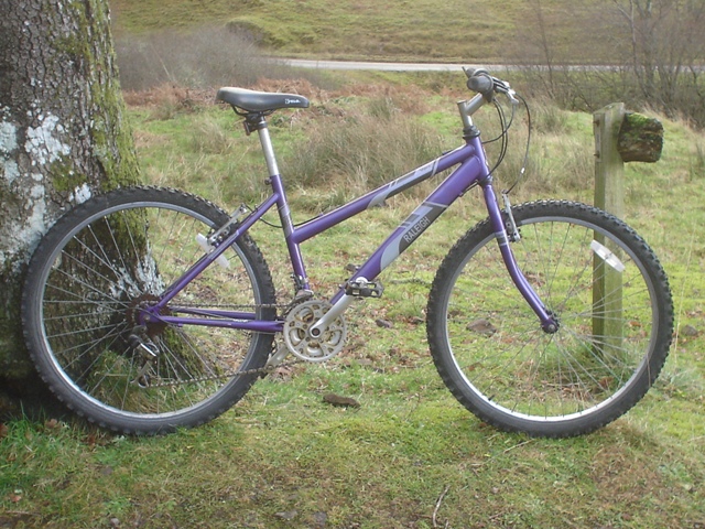 raleigh mountain bike womens