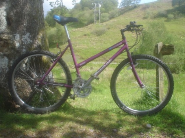 ladies bikes for sale done deal