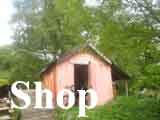 shop